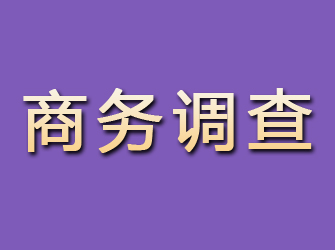 乳山商务调查